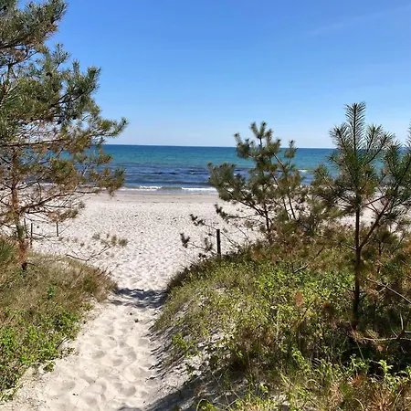 Am * Altenkirchen (Mecklenburg-Vorpommern)